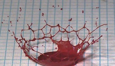 A typical blood spatter pattern. (Image: Midwest Forensic Research Center Database)